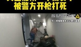 博士最新事件爆料视频,揭秘爆料视频背后的惊人真相