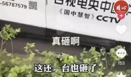 爆料唐山视频下载安装最新,最新视频曝光，揭秘事件真相与背后黑幕