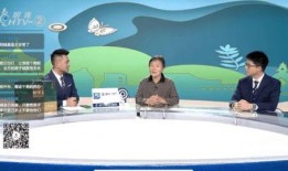 杭州余先生最新爆料,揭秘某事件背后惊人真相