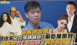 葛斯齐最新爆料视频回放,事件真相与幕后黑幕